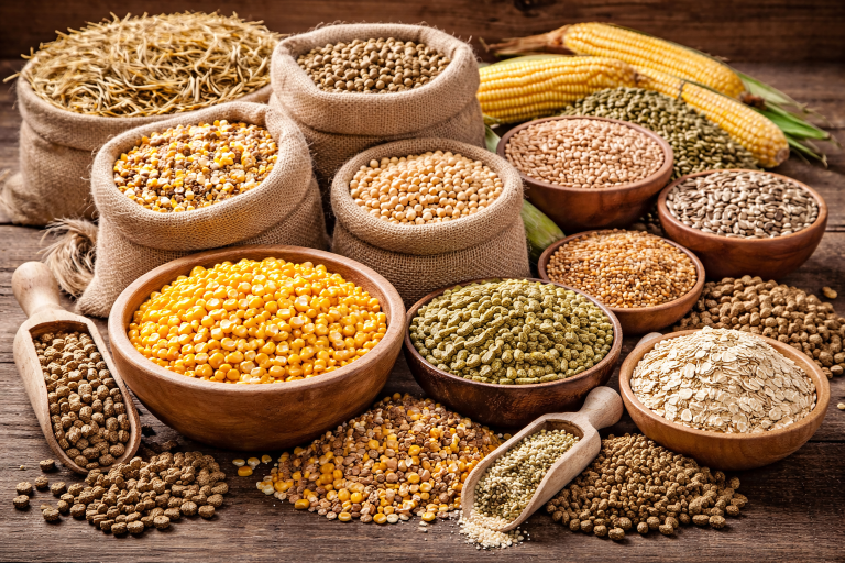 Animal Feeds 768x512