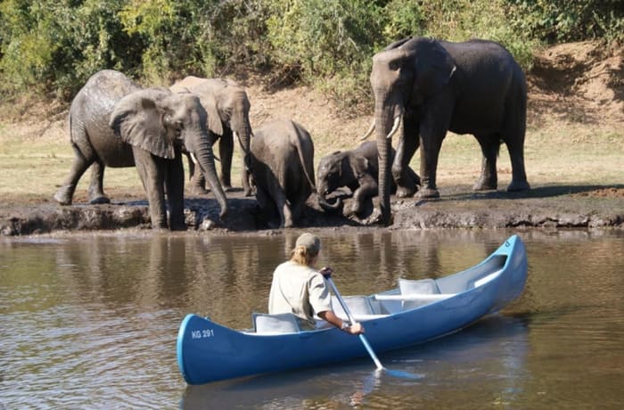 lusenga plains national park zambia safaris 3