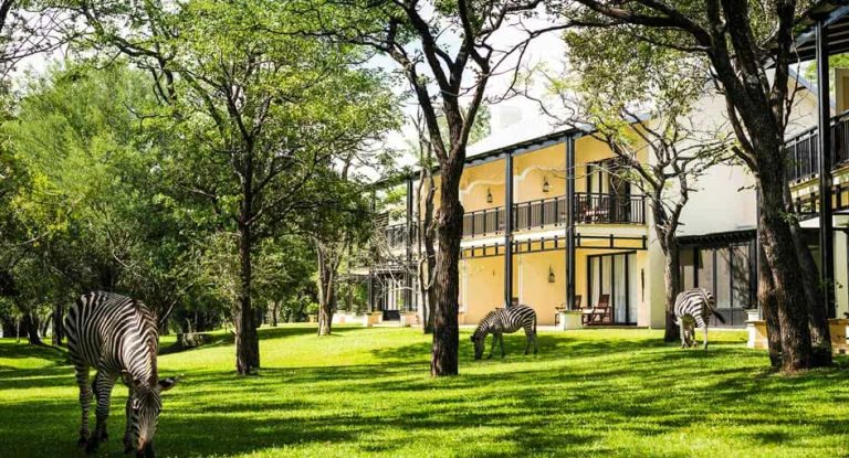 royal livingstone by anantara ground zebra intro 944x510 768x415